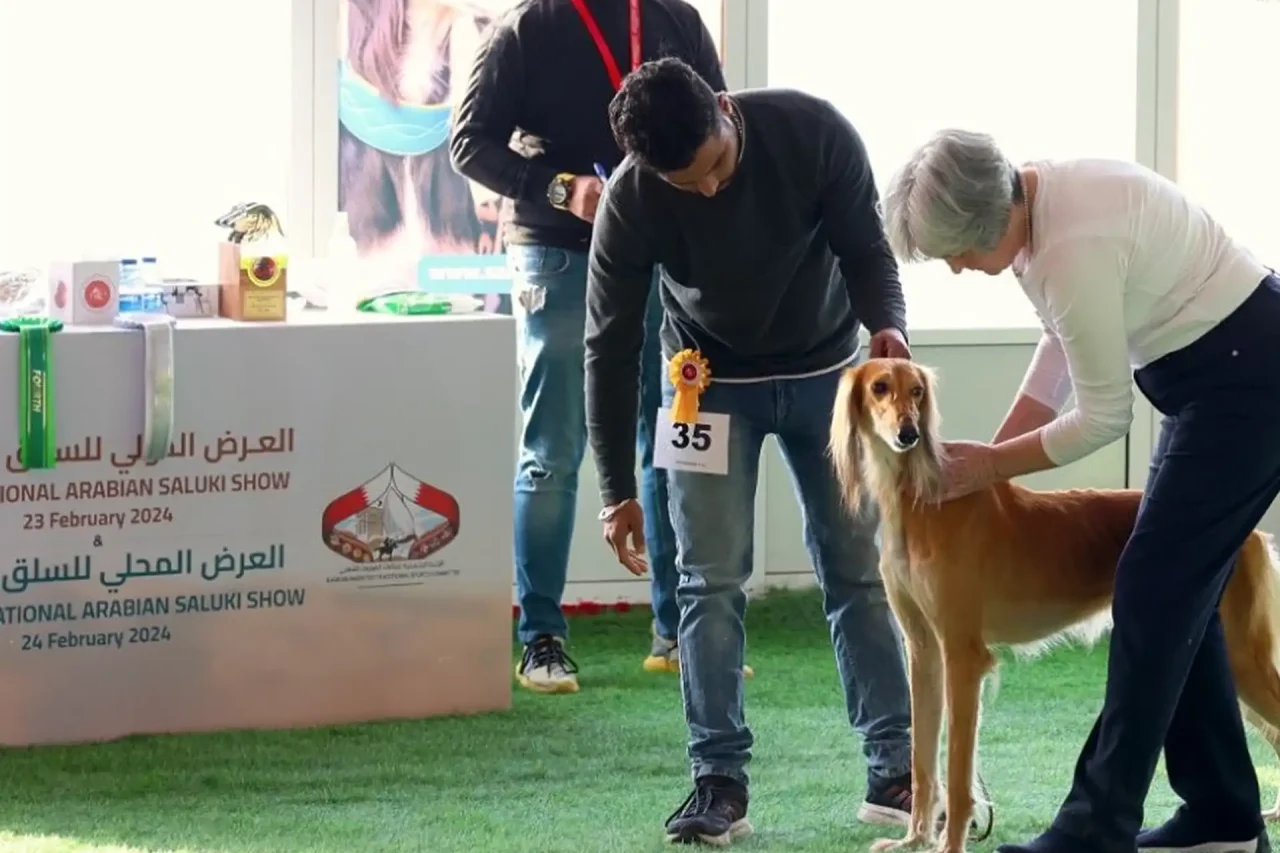 Screen Shot 2025-04-29 at 7.34.16 PM