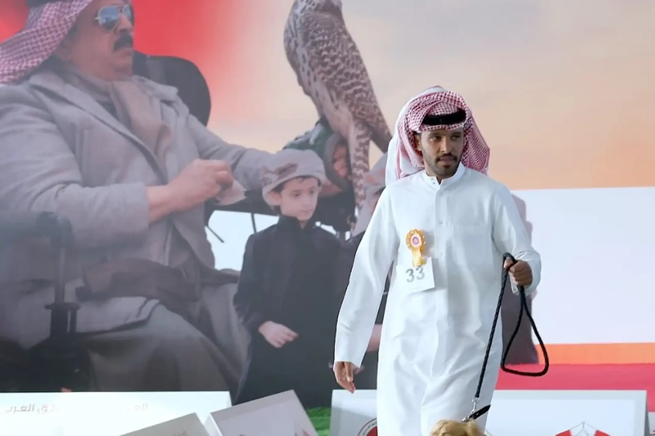 Screen Shot 2025-04-29 at 7.34.44 PM