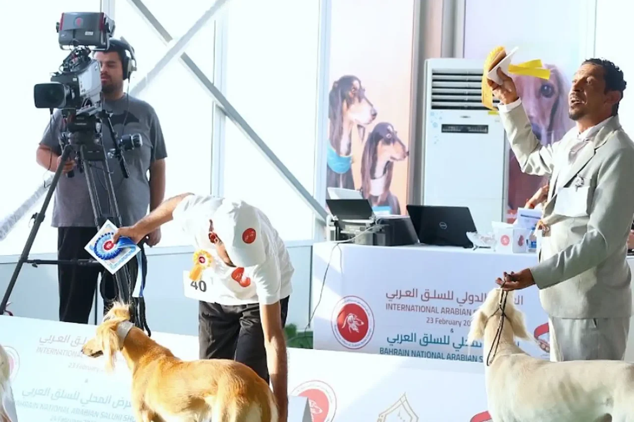 Screen Shot 2025-04-29 at 7.37.00 PM