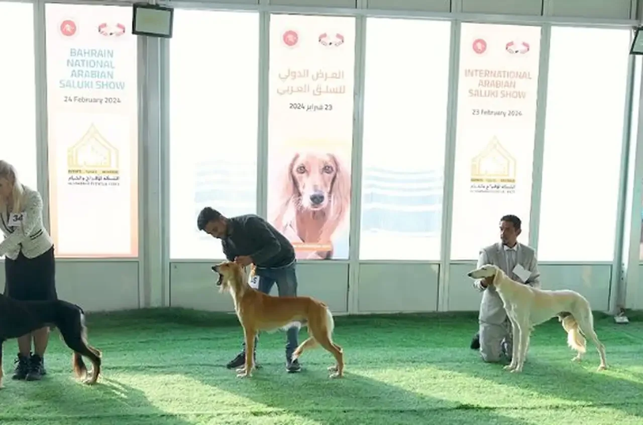 Screen Shot 2025-04-29 at 7.37.18 PM