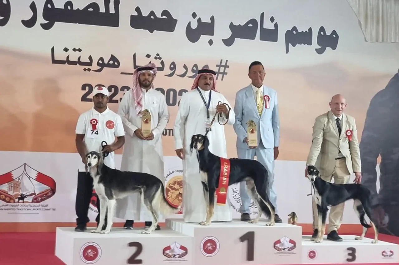 Screen Shot 2025-04-29 at 7.37.29 PM