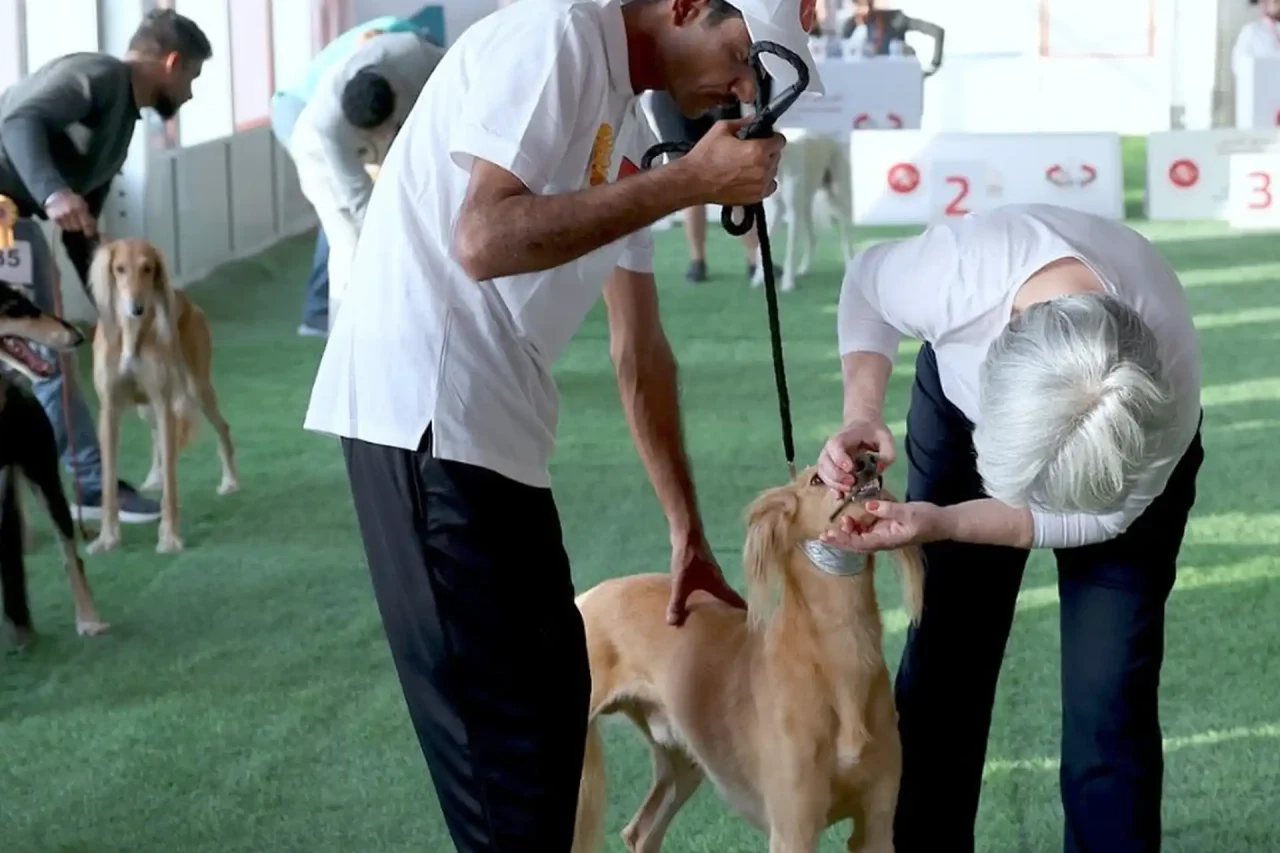 Screen Shot 2025-04-29 at 7.37.49 PM