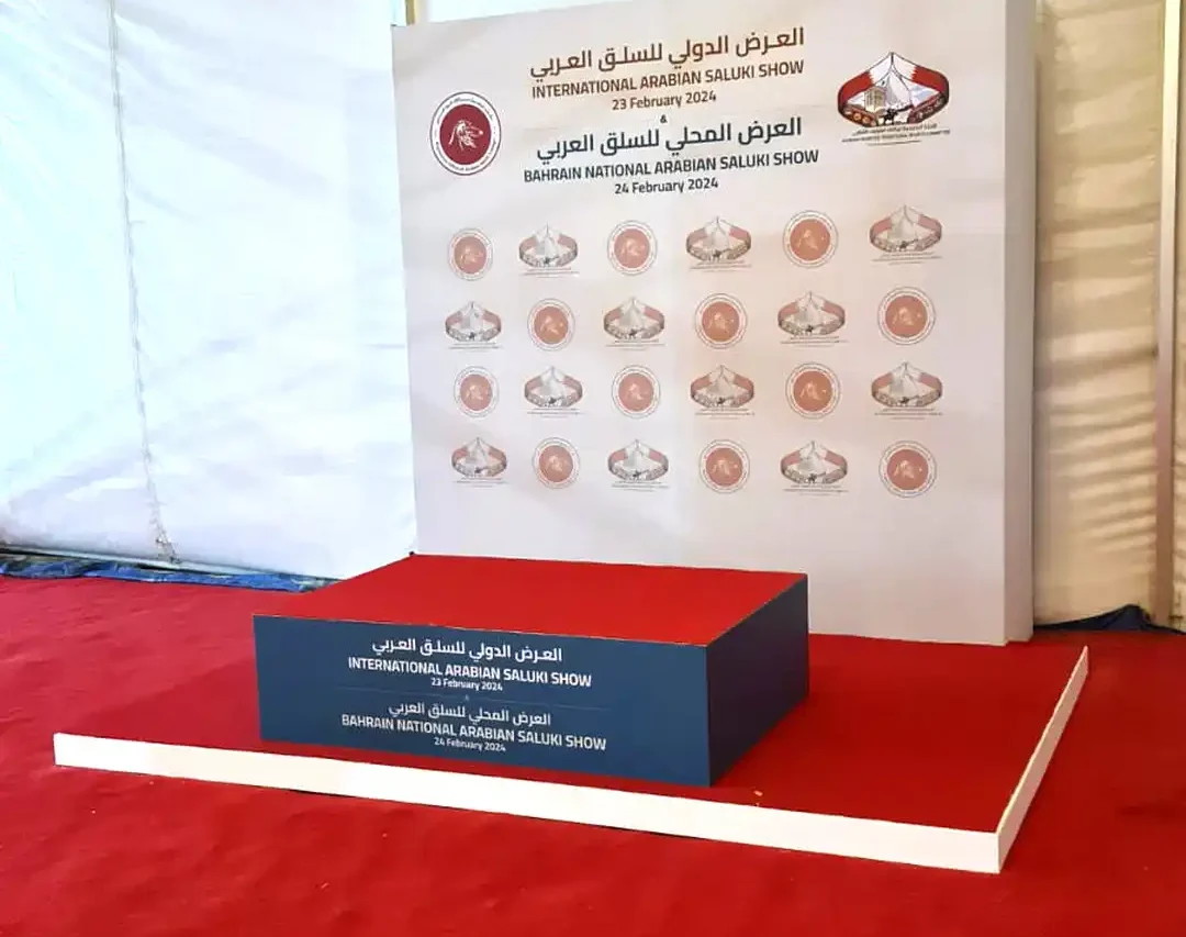 WhatsApp Image 2025-04-29 at 6.47.07 PM