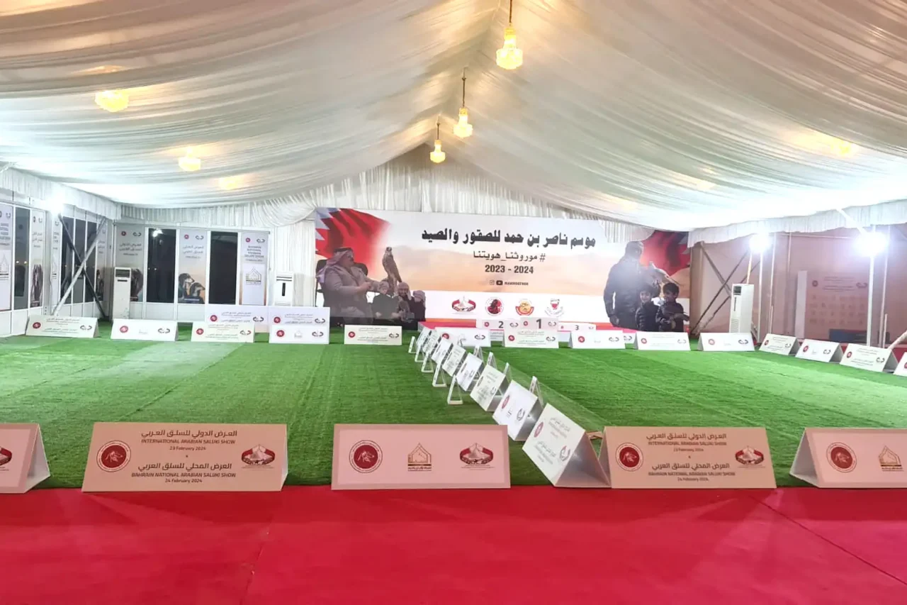 WhatsApp Image 2025-04-29 at 6.47.10 PM (1)